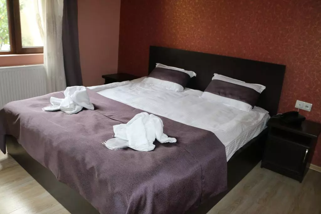 دژاوو هتل تفلیس-4258